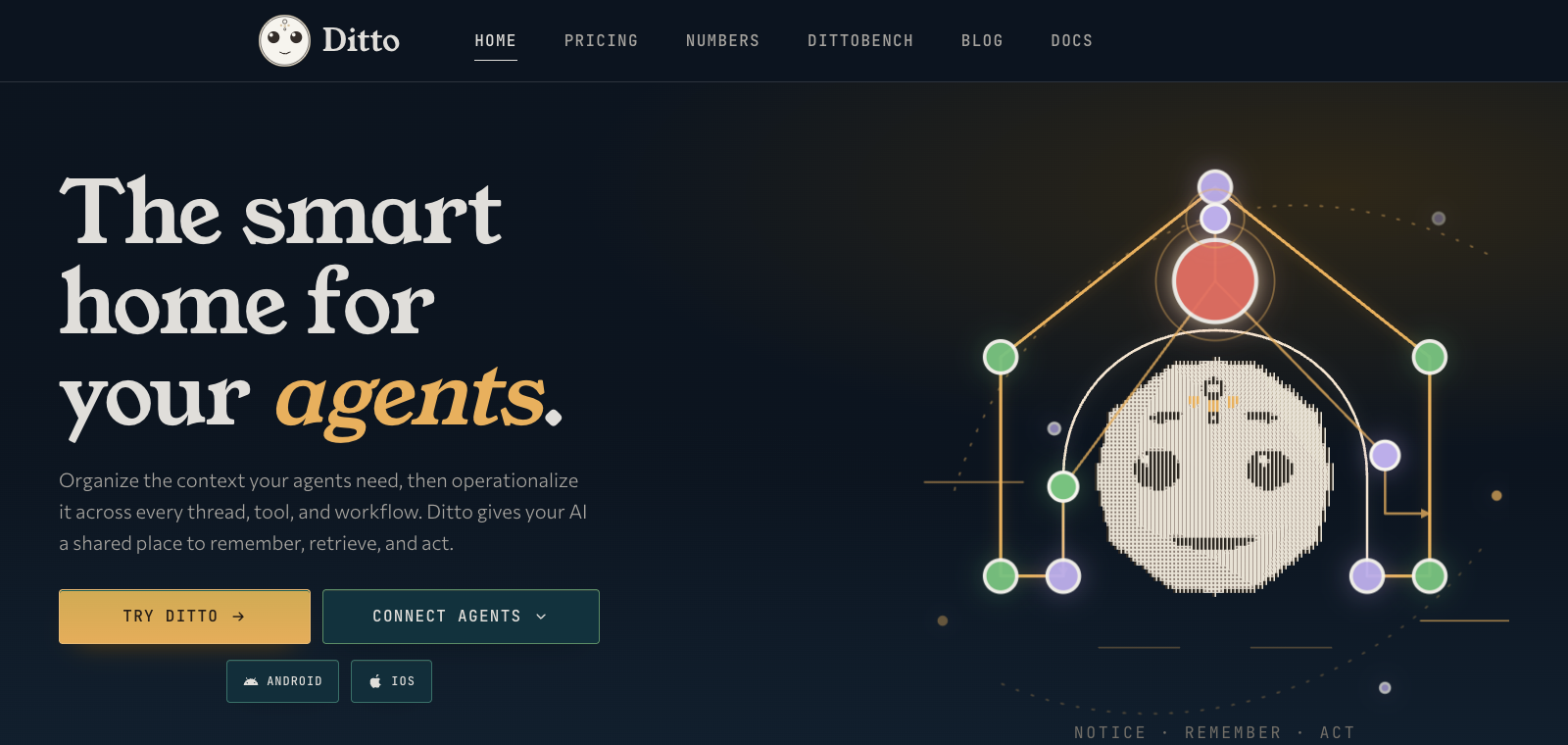 HeyDitto homepage preview