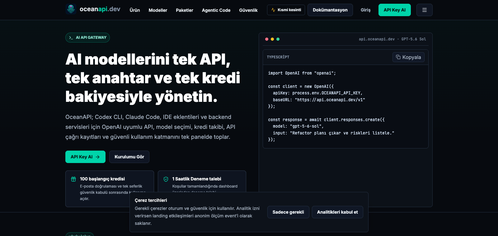 Aperçu de la page d'accueil de OceanAPI