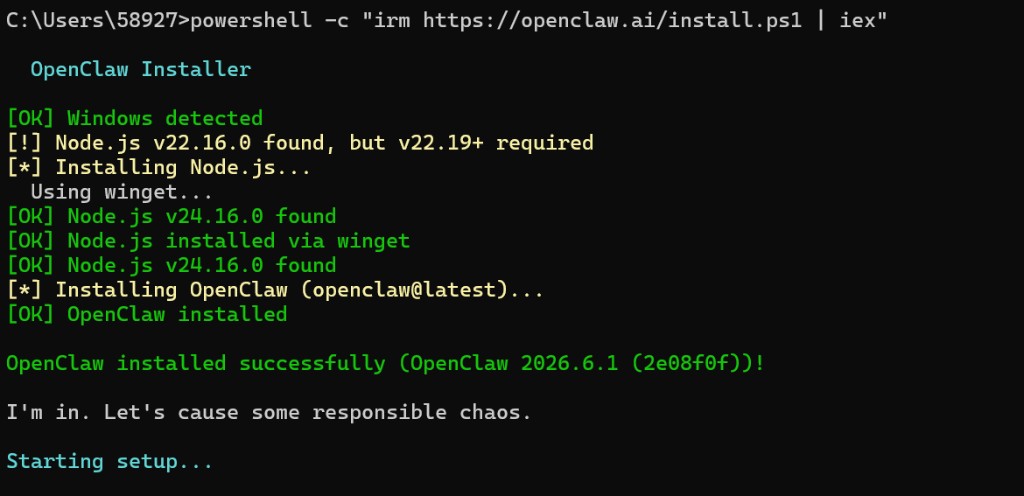 Install success (Windows example)