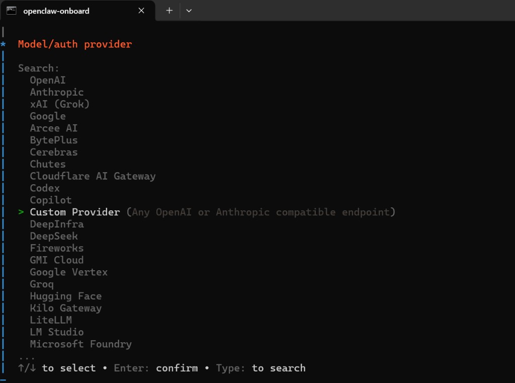 Custom Provider (same on macOS)